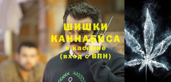 эйфоретик Новодвинск