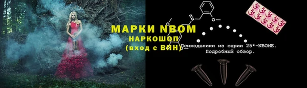 прущий лед Новозыбков