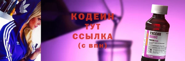 прущий лед Новозыбков