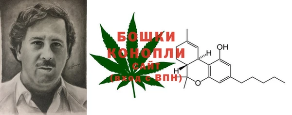 прущий лед Новозыбков