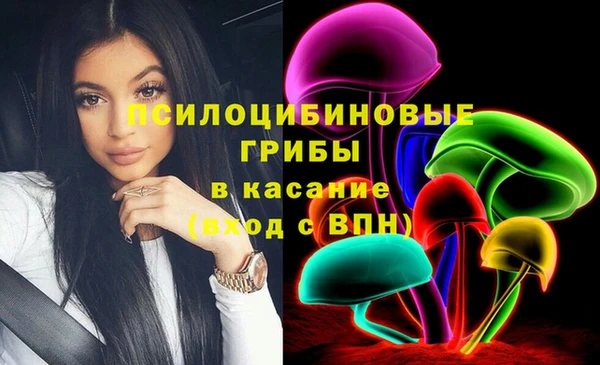 эйфоретик Новодвинск