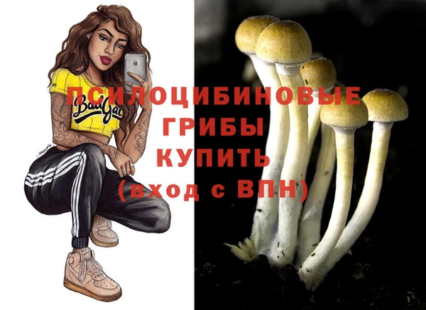 эйфоретик Новодвинск