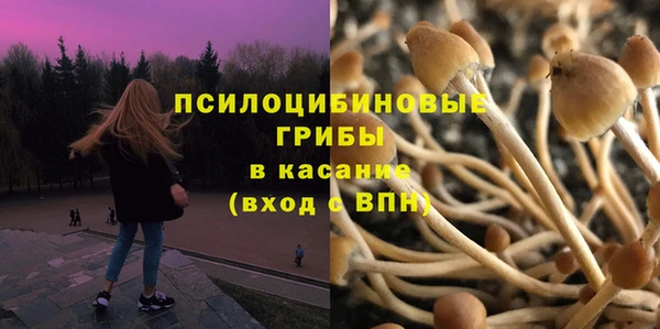 МДПВ Нефтегорск