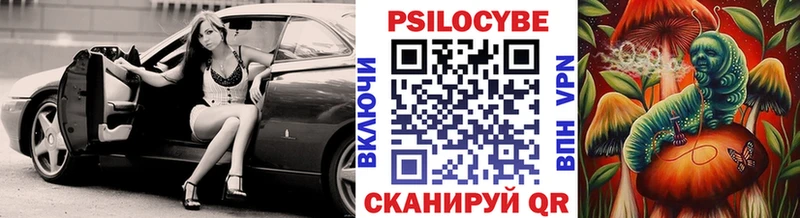 МЕГА ТОР  Томск  Галлюциногенные грибы Psilocybe 