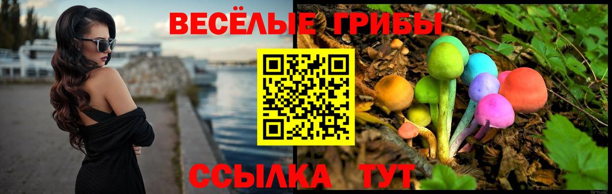 цена наркотик  Вход с VPN  Томск  Псилоцибиновые грибы Psilocybe 